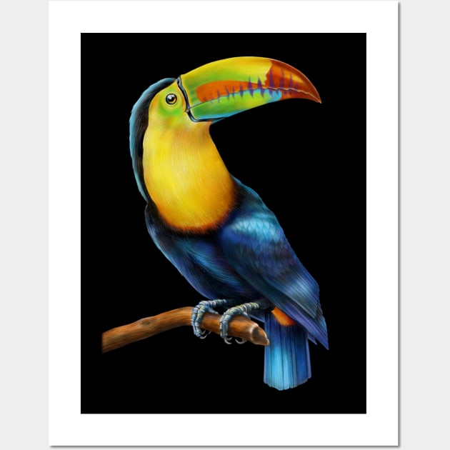 Toucan Wall Art by Tim Jeffs Art